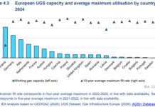 Gnl e sicurezza energetica: l’Italia e le opzioni di flessibilità Italia-1