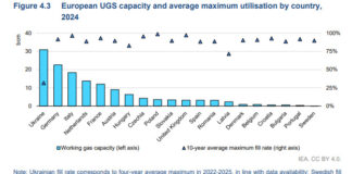 Gnl e sicurezza energetica: l’Italia e le opzioni di flessibilità Italia-1