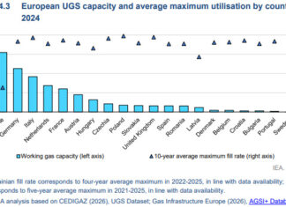 Gnl e sicurezza energetica: l’Italia e le opzioni di flessibilità Italia-1