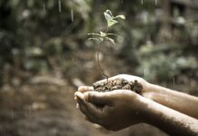 Difesa dal suolo che sprofonda: ANBI chiede 36 milioni per salvare Delta del Po, Rovigo, Ferrara e Ravenna suolo sprofonda