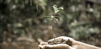 Difesa dal suolo che sprofonda: ANBI chiede 36 milioni per salvare Delta del Po, Rovigo, Ferrara e Ravenna suolo sprofonda