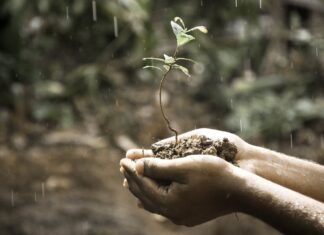 Difesa dal suolo che sprofonda: ANBI chiede 36 milioni per salvare Delta del Po, Rovigo, Ferrara e Ravenna suolo sprofonda