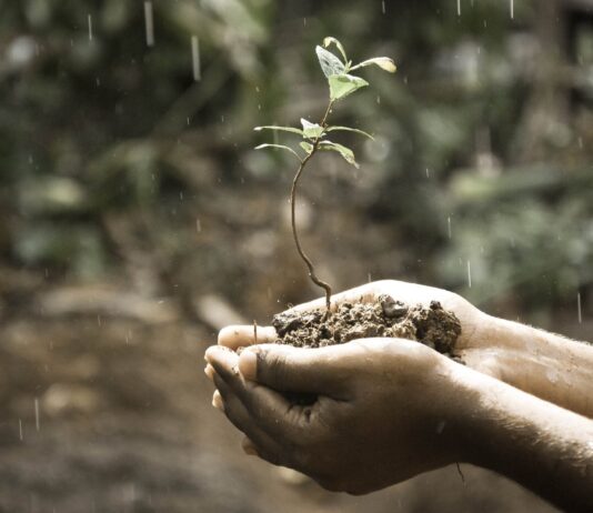 Difesa dal suolo che sprofonda: ANBI chiede 36 milioni per salvare Delta del Po, Rovigo, Ferrara e Ravenna suolo sprofonda