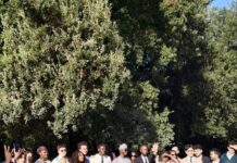 Ecobuddy, MIRRIAH e BATx: anatomia di tre innovazioni climatiche