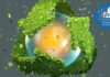 Cooperazione internazionale e biodiversità: l’accordo alla COP17