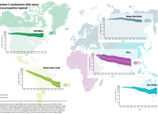 Living Planet Report, come invertire il declino della biodiversità biodiversità