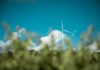 Eolico e biodiversità, coesistenza tra energia pulita e natura eolico
