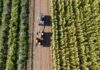L’Unione Europea ridisegna la politica agricola e alimentare politica