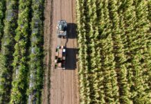 L’Unione Europea ridisegna la politica agricola e alimentare politica
