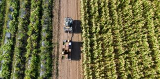 L’Unione Europea ridisegna la politica agricola e alimentare politica