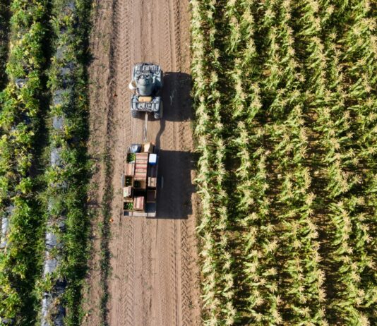 L’Unione Europea ridisegna la politica agricola e alimentare politica