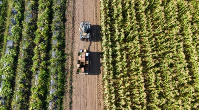 L’Unione Europea ridisegna la politica agricola e alimentare politica