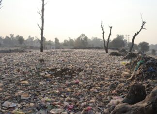 Clima nuovo baricentro dello sviluppo globale: ridefinire le priorità clima
