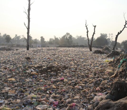 Clima nuovo baricentro dello sviluppo globale: ridefinire le priorità clima